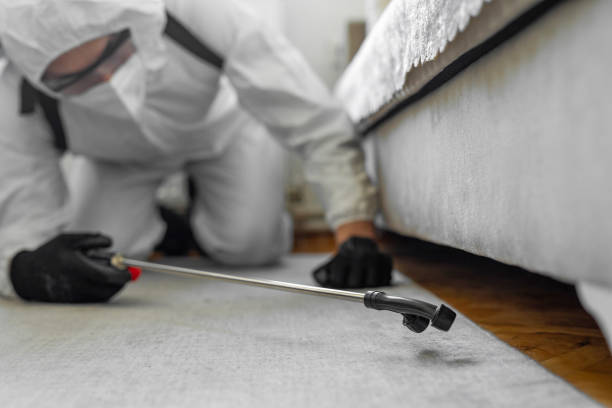Professional Bed Bug Control technician working in Marion, VA