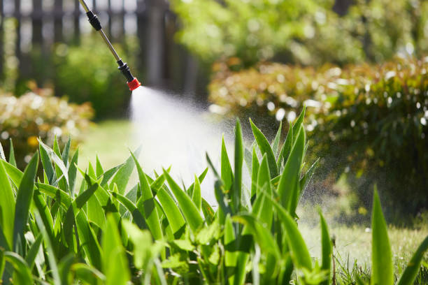 24/7 Emergency Bed Bug Control experts in Marion, VA
