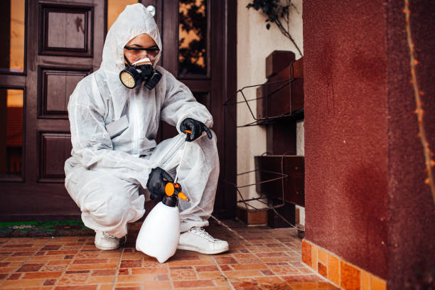 Reliable Bed Bug Control contractor in Marion, VA by Nex Pest Control