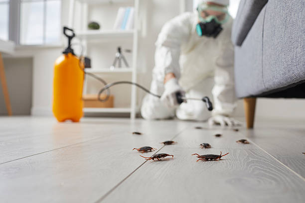 Trusted Termite Control service in Marion, VA - Nex Pest Control
