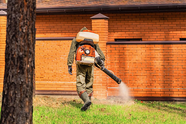 Trusted Bed Bug Control service in Marion, VA - Nex Pest Control